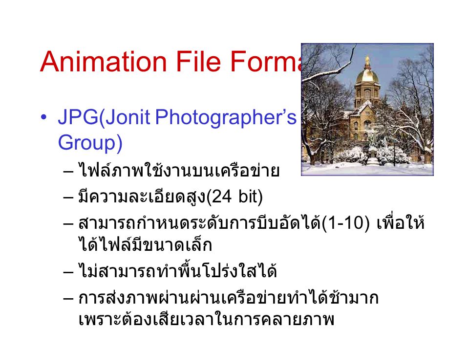 Animation File Format JPG(Jonit Photographer’s Expert Group)