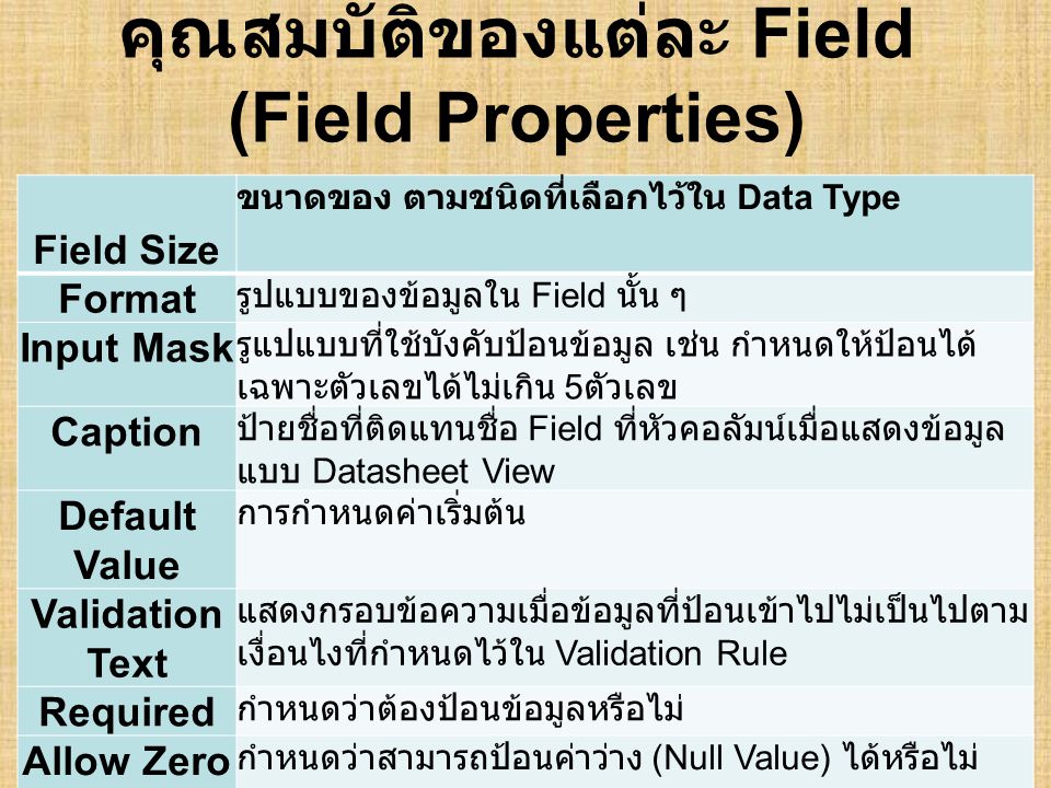 คุณสมบัติของแต่ละ Field (Field Properties)