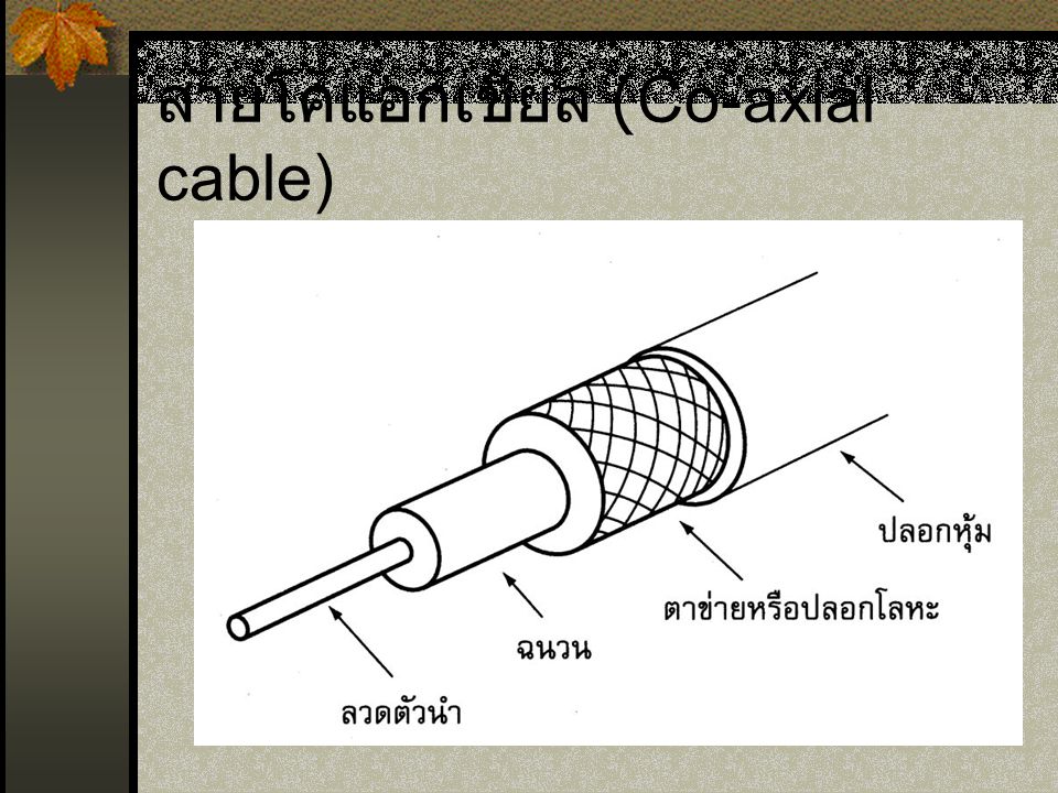 สายโคแอกเชียล (Co-axial cable)