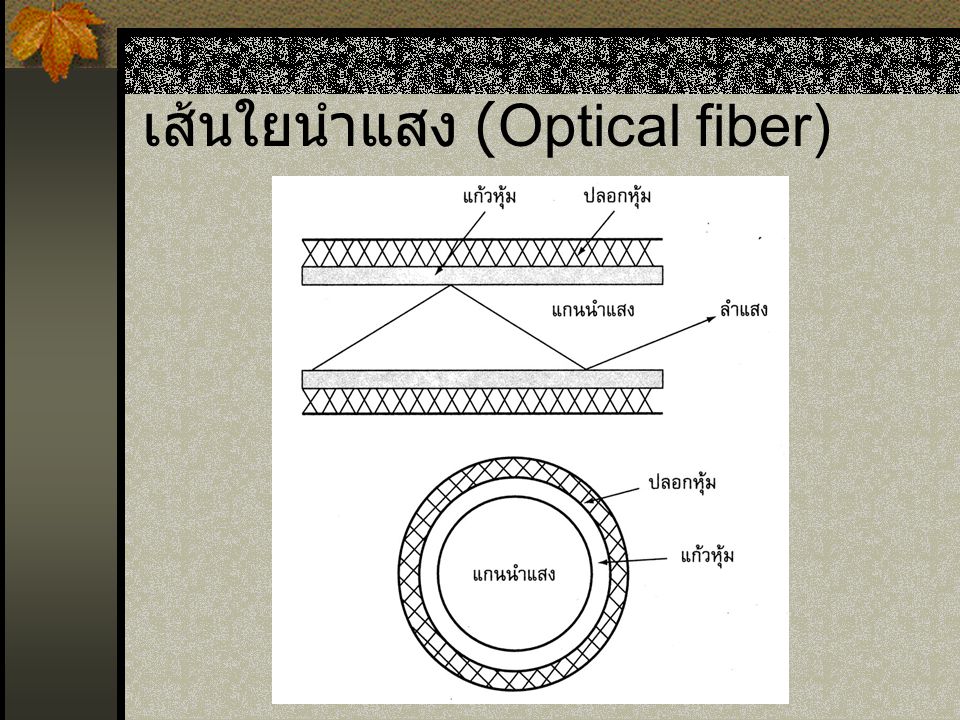 เส้นใยนำแสง (Optical fiber)