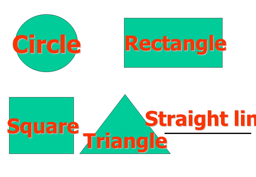 Circle Rectangle Straight line Square Triangle