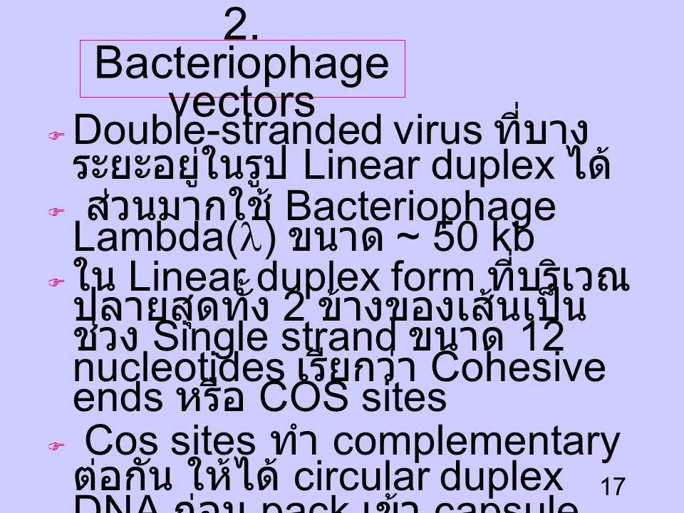 2. Bacteriophage vectors