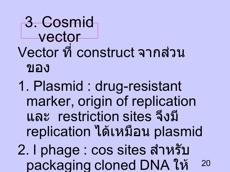 3. Cosmid vector Vector ที่ construct จากส่วนของ