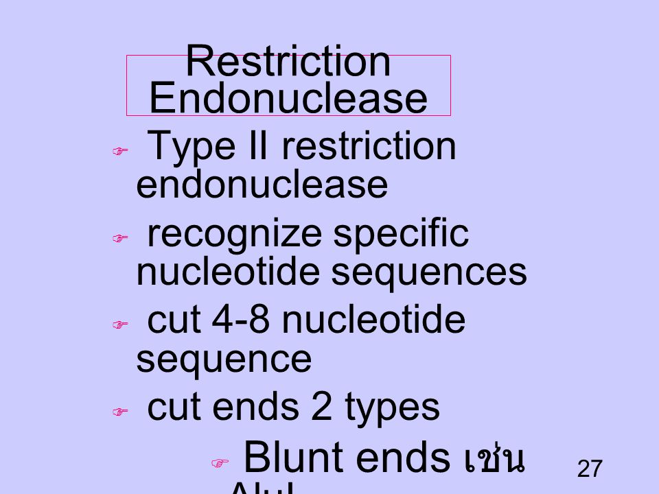 Restriction Endonuclease