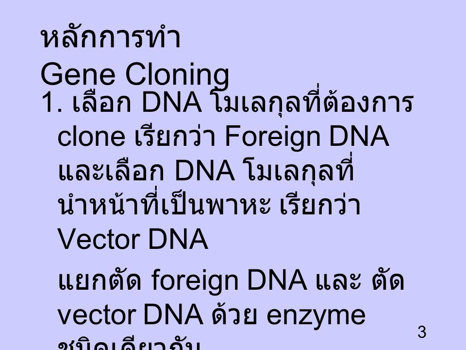 หลักการทำ Gene Cloning