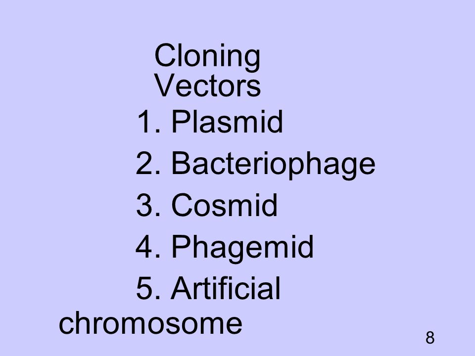 Cloning Vectors 1. Plasmid 2. Bacteriophage 3. Cosmid 4. Phagemid 5. Artificial chromosome