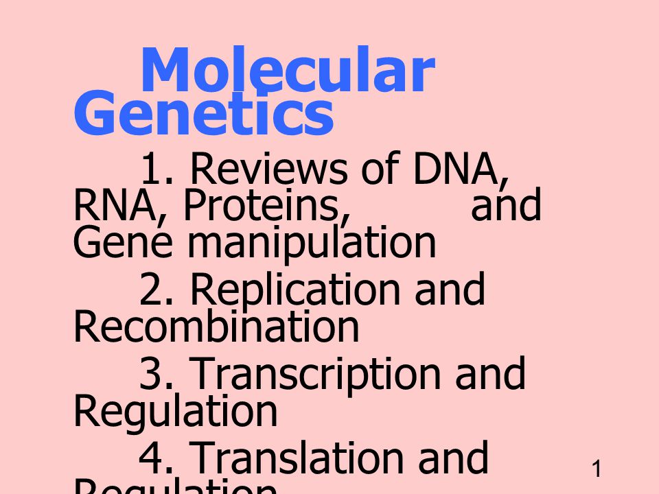 Replication 25/11/00. Molecular Genetics. 1. Reviews of DNA, RNA, Proteins, and Gene manipulation.
