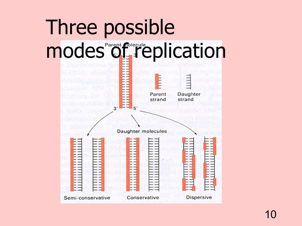 Three possible modes of replication