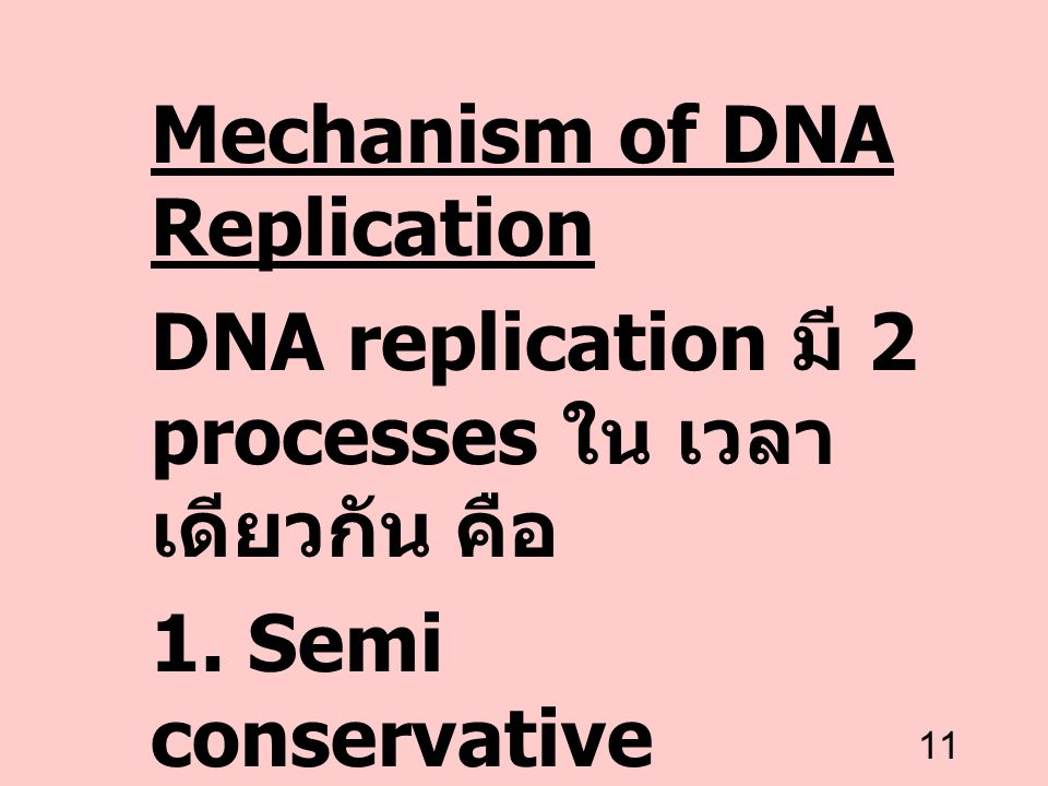 Mechanism of DNA Replication