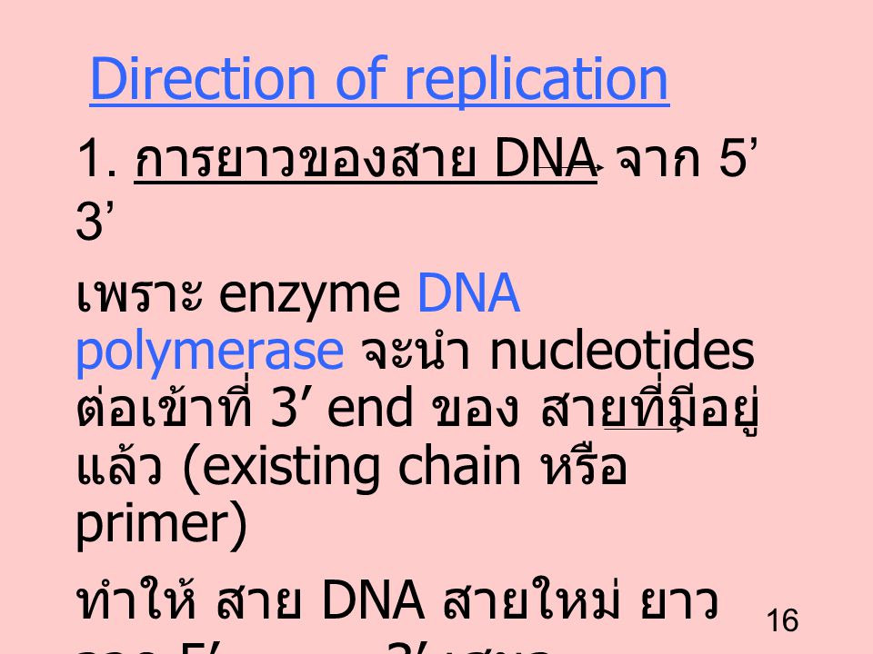 Direction of replication