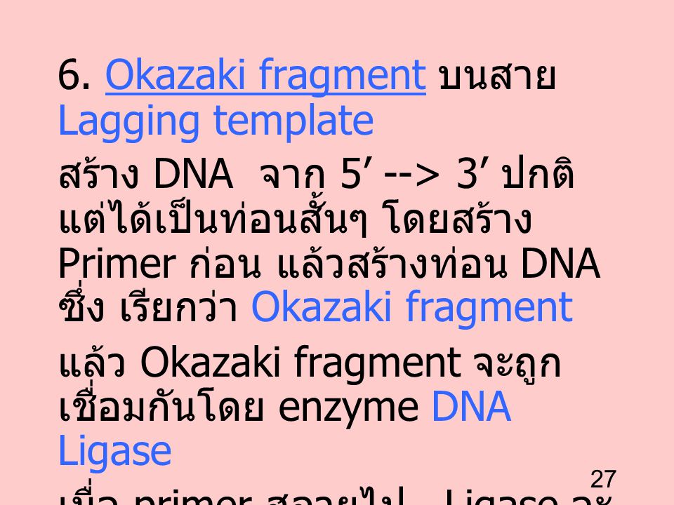 6. Okazaki fragment บนสาย Lagging template
