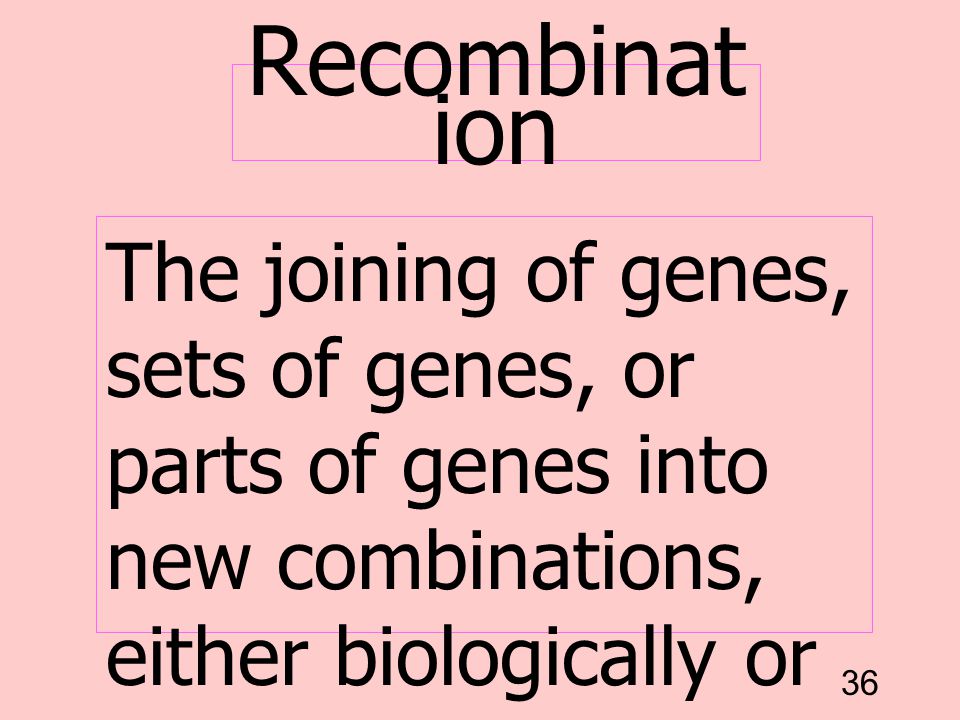Recombination The joining of genes, sets of genes, or parts of genes into new combinations, either biologically or through laboratory manipulation.