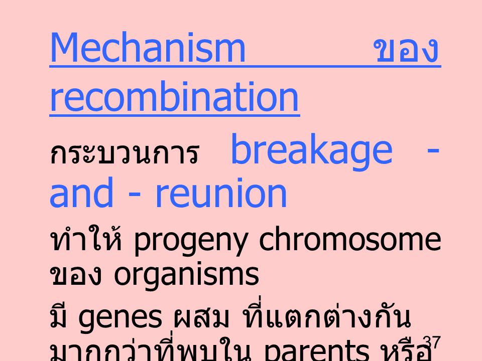 Mechanism ของ recombination