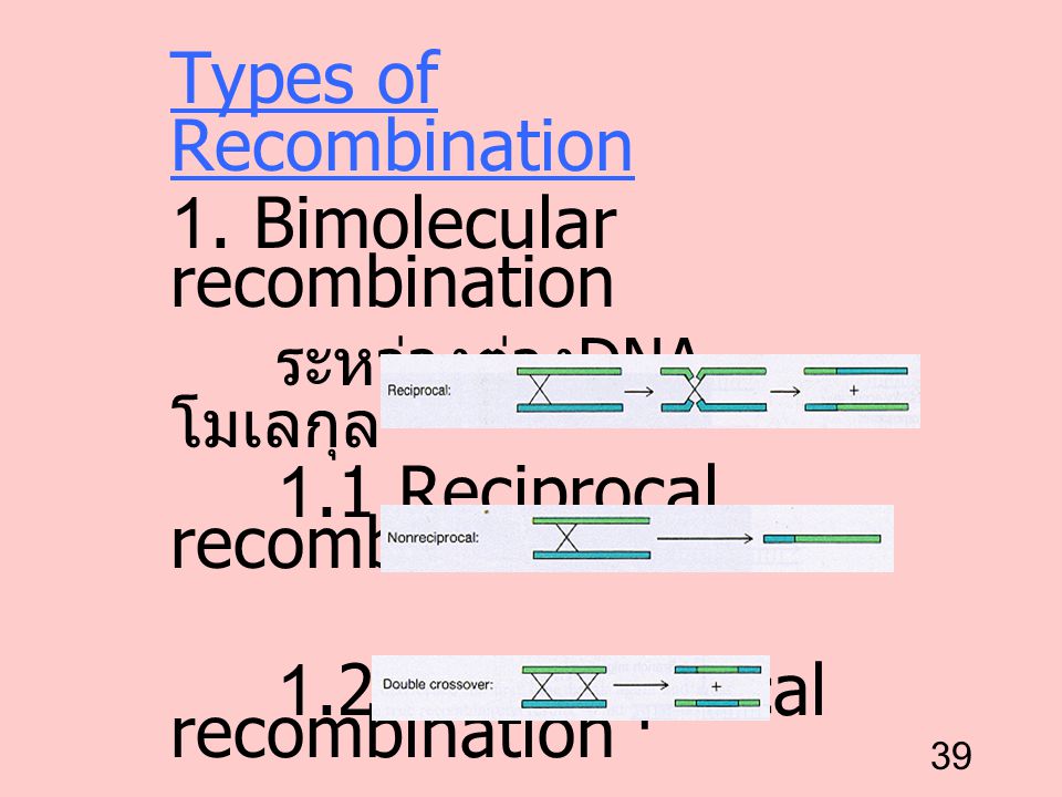 Types of Recombination 1. Bimolecular recombination