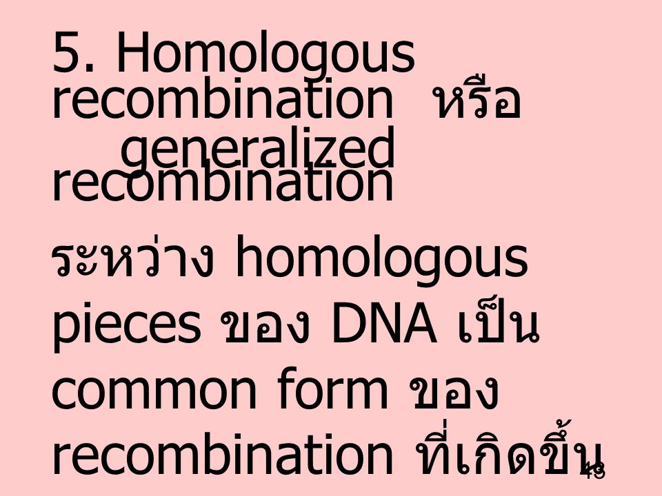 5. Homologous recombination หรือ