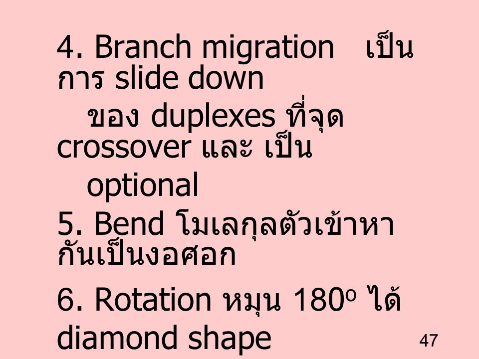 4. Branch migration เป็นการ slide down