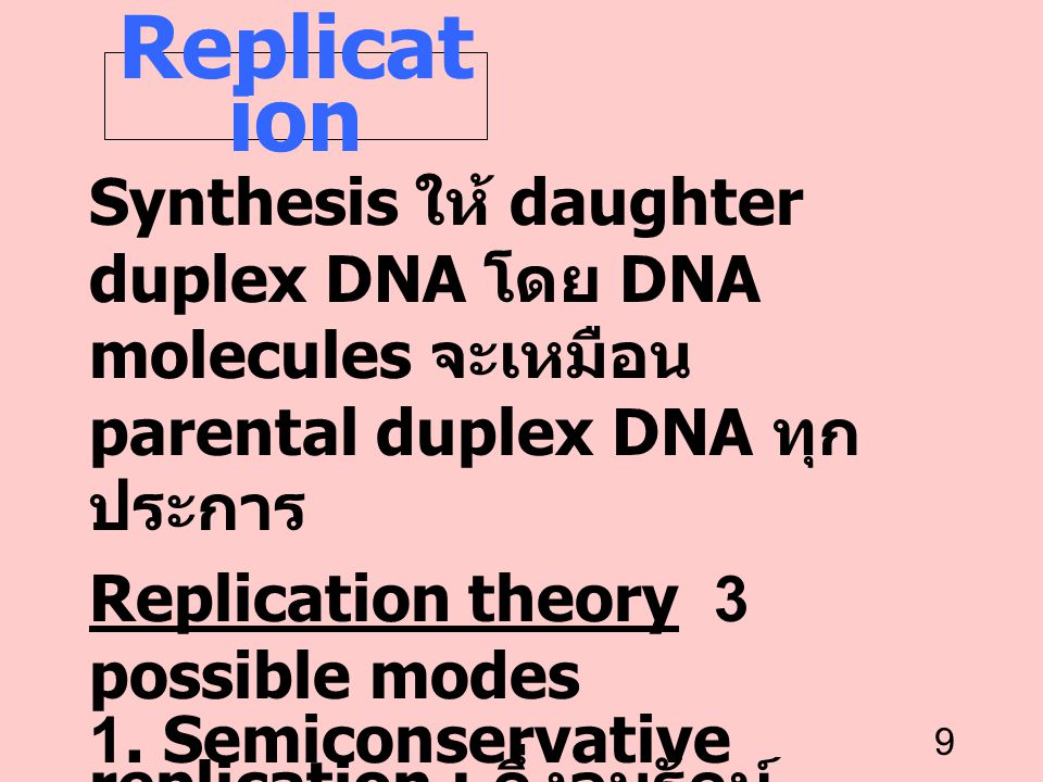 Replication Synthesis ให้ daughter duplex DNA โดย DNA molecules จะเหมือน parental duplex DNA ทุกประการ.