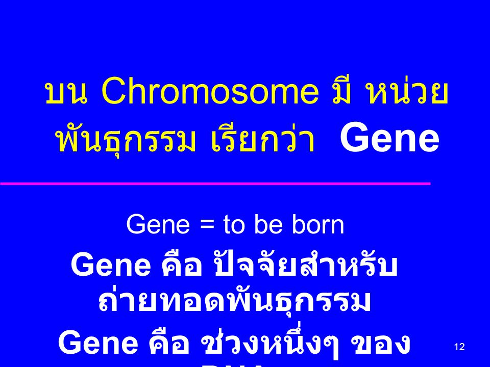 บน Chromosome มี หน่วยพันธุกรรม เรียกว่า Gene