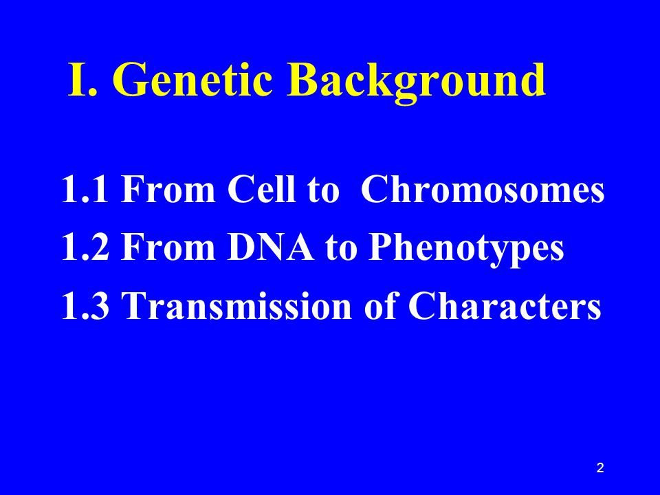 I. Genetic Background 1.1 From Cell to Chromosomes