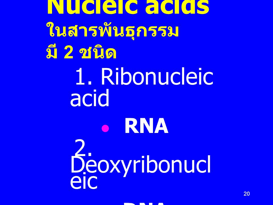 Nucleic acids ในสารพันธุกรรม มี 2 ชนิด