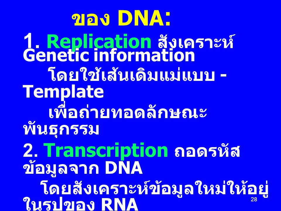 1. Replication สังเคราะห์ Genetic information