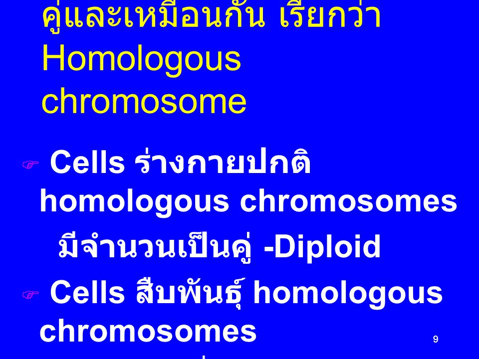 Chromosome ปกติมีเป็นคู่และเหมือนกัน เรียกว่า Homologous chromosome