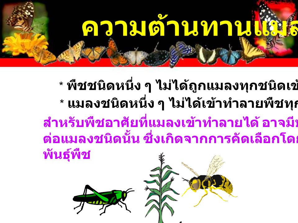 ความต้านทานแมลง * พืชชนิดหนึ่ง ๆ ไม่ได้ถูกแมลงทุกชนิดเข้าทำลาย. * แมลงชนิดหนึ่ง ๆ ไม่ได้เข้าทำลายพืชทุกชนิด.