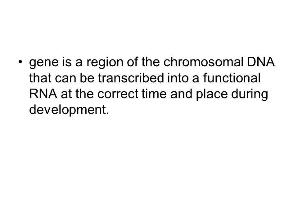 gene is a region of the chromosomal DNA that can be transcribed into a functional RNA at the correct time and place during development.