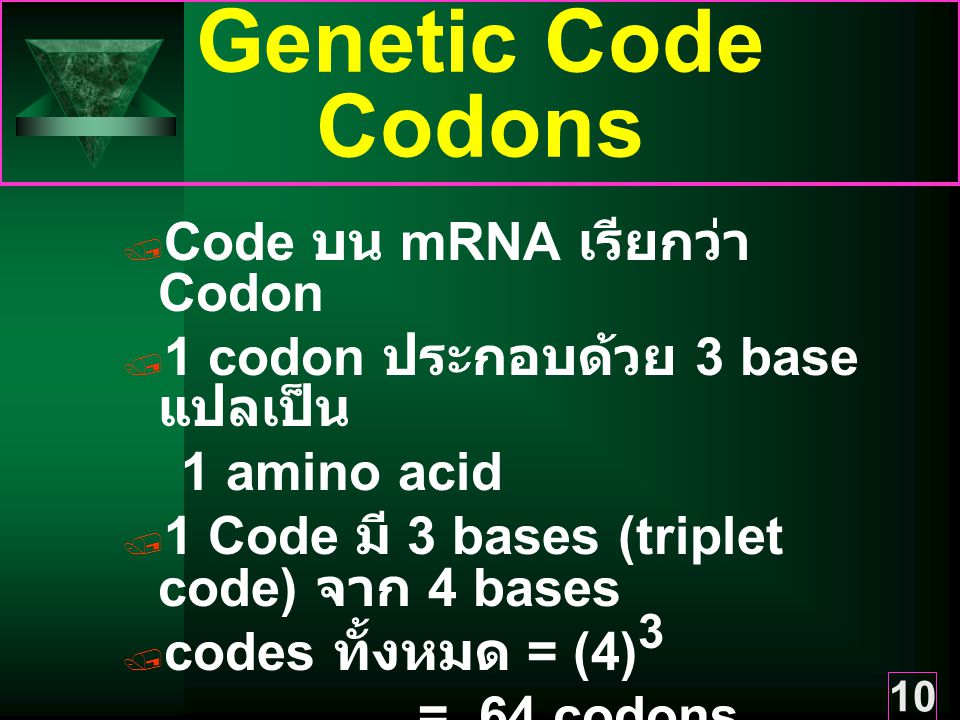 Genetic Code Codons Code บน mRNA เรียกว่า Codon