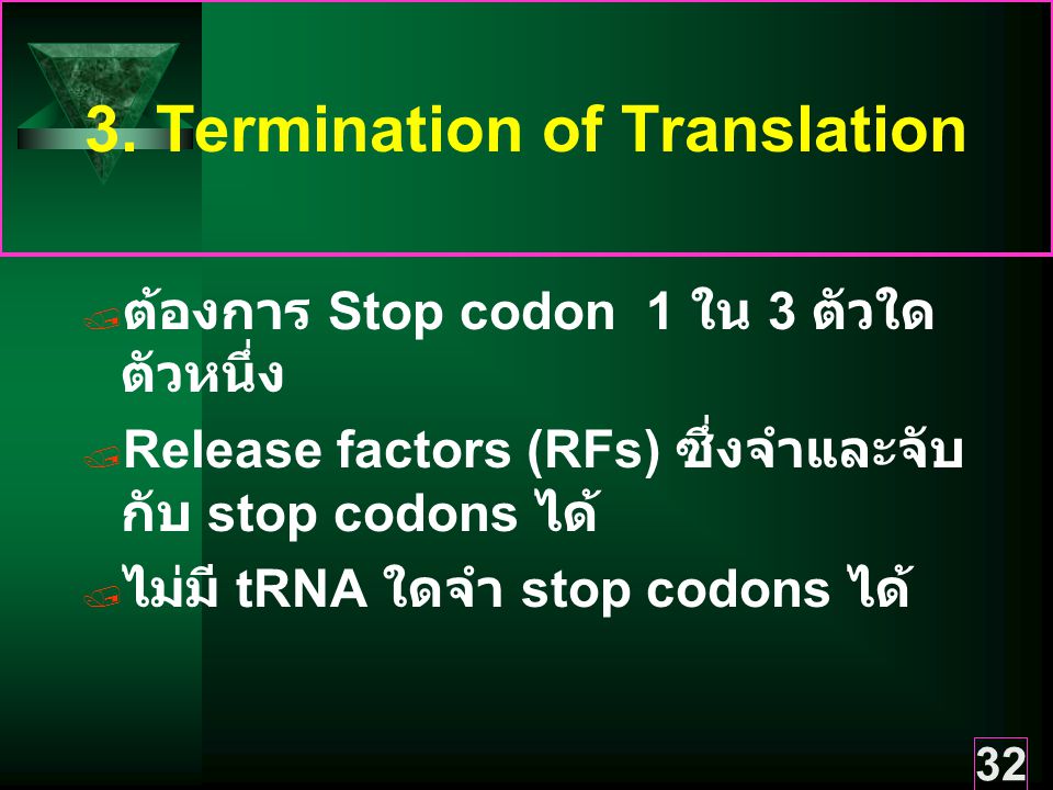 3. Termination of Translation