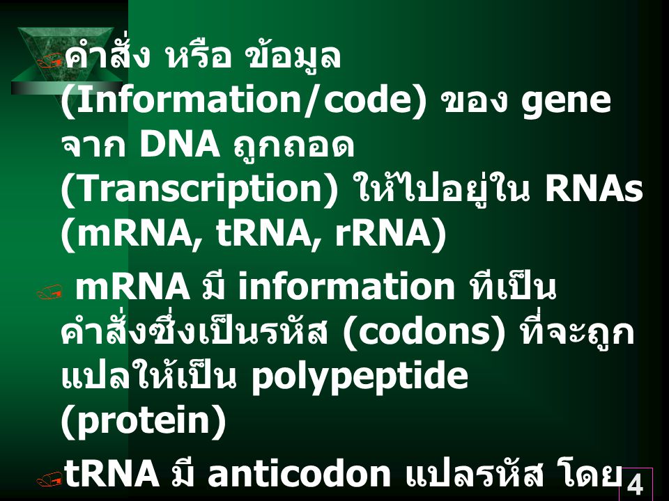 คำสั่ง หรือ ข้อมูล (Information/code) ของ gene จาก DNA ถูกถอด (Transcription) ให้ไปอยู่ใน RNAs (mRNA, tRNA, rRNA)