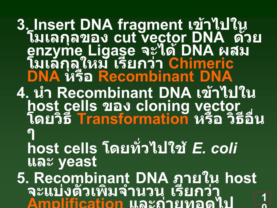 3. Insert DNA fragment เข้าไปในโมเลกุลของ cut vector DNA ด้วย enzyme Ligase จะได้ DNA ผสมโมเลกุลใหม่ เรียกว่า Chimeric DNA หรือ Recombinant DNA