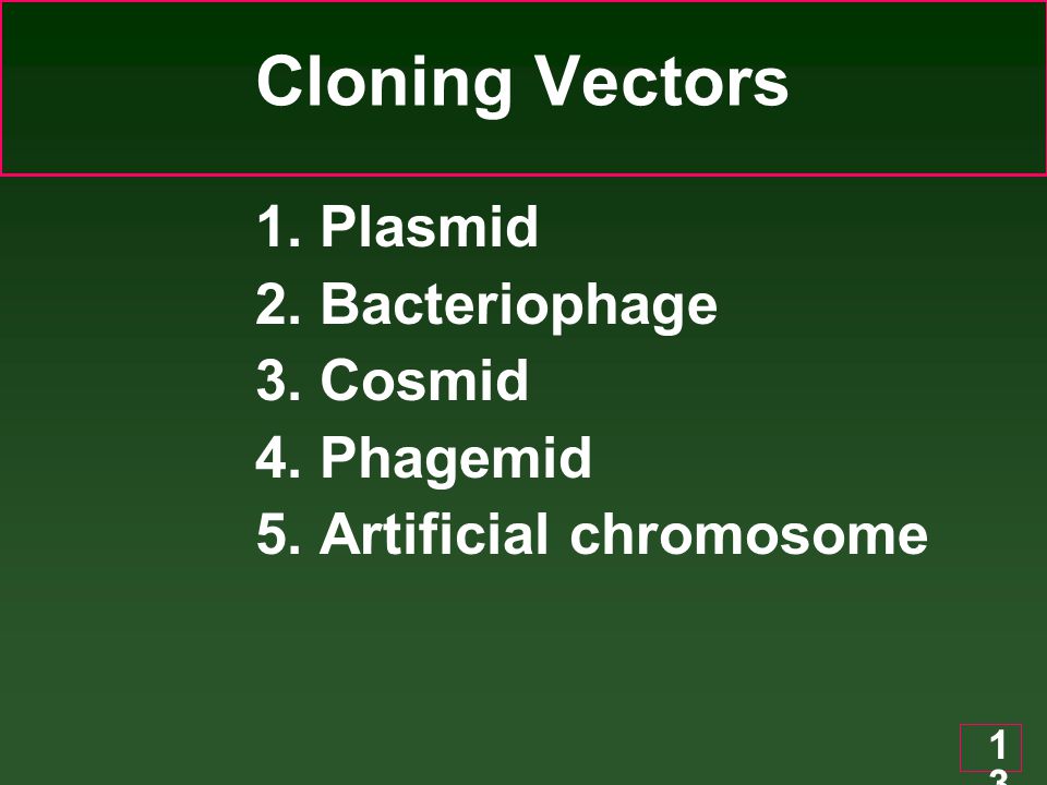 Cloning Vectors 1. Plasmid 2. Bacteriophage 3. Cosmid 4. Phagemid