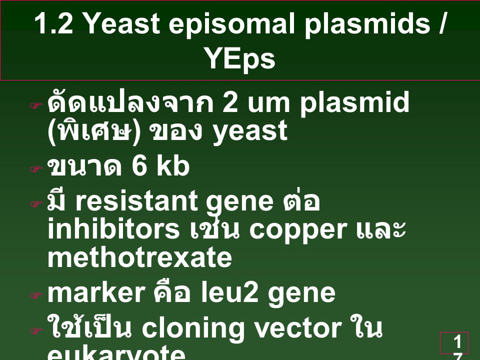 1.2 Yeast episomal plasmids / YEps
