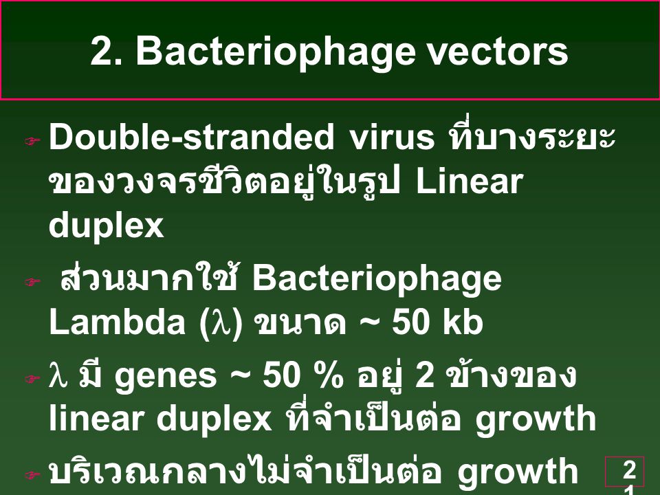 2. Bacteriophage vectors