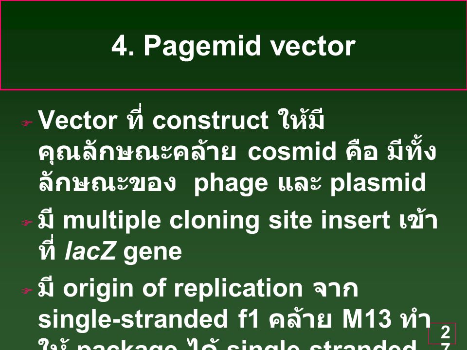 4. Pagemid vector Vector ที่ construct ให้มี คุณลักษณะคล้าย cosmid คือ มีทั้งลักษณะของ phage และ plasmid.