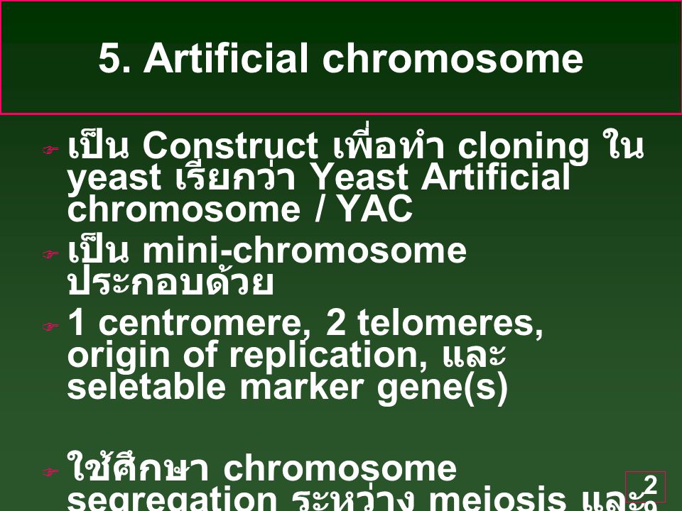 5. Artificial chromosome