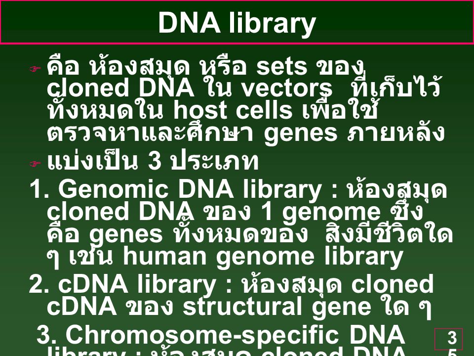DNA library คือ ห้องสมุด หรือ sets ของ cloned DNA ใน vectors ที่เก็บไว้ทั้งหมดใน host cells เพื่อใช้ตรวจหาและศึกษา genes ภายหลัง.