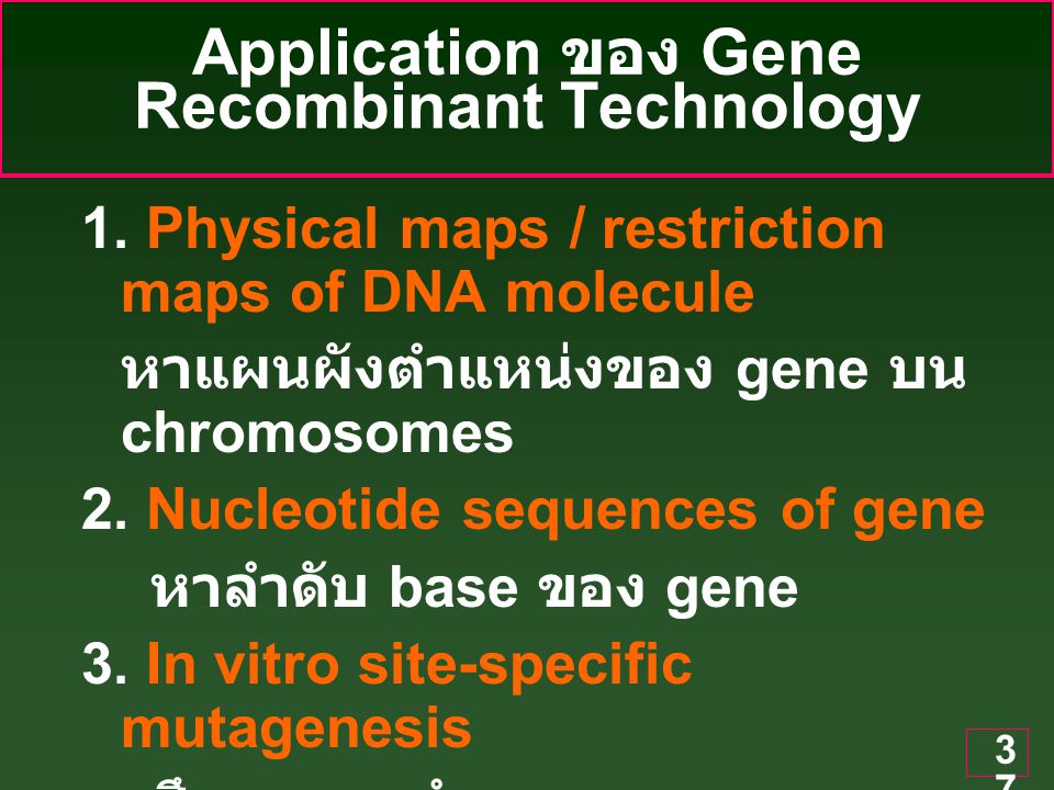 Application ของ Gene Recombinant Technology