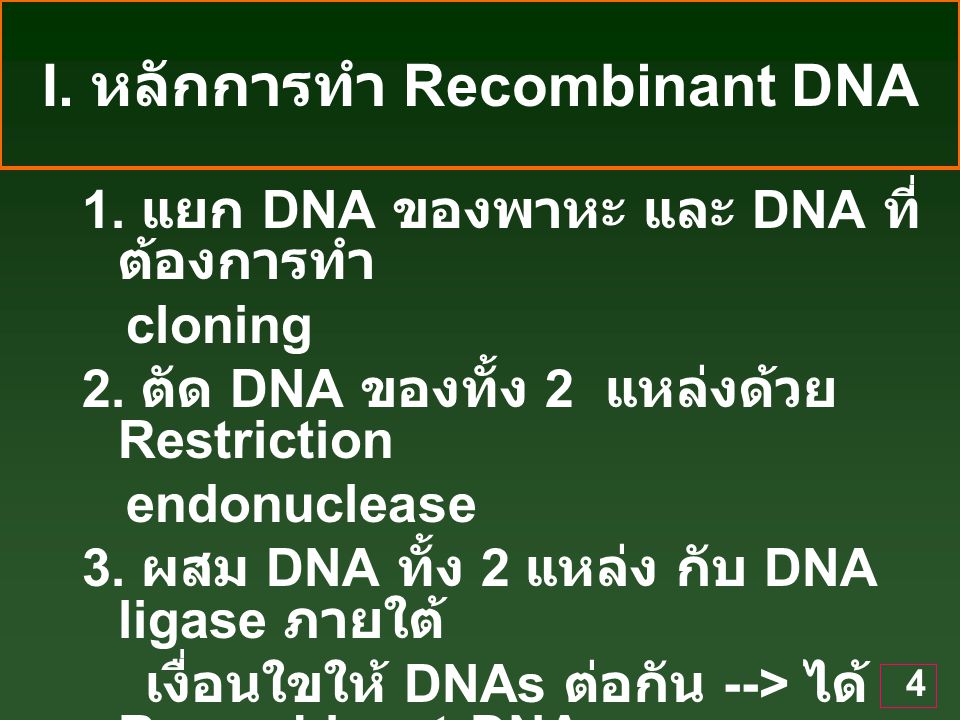 I. หลักการทำ Recombinant DNA