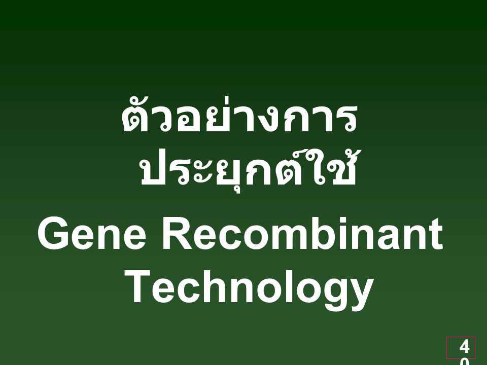 ตัวอย่างการประยุกต์ใช้ Gene Recombinant Technology