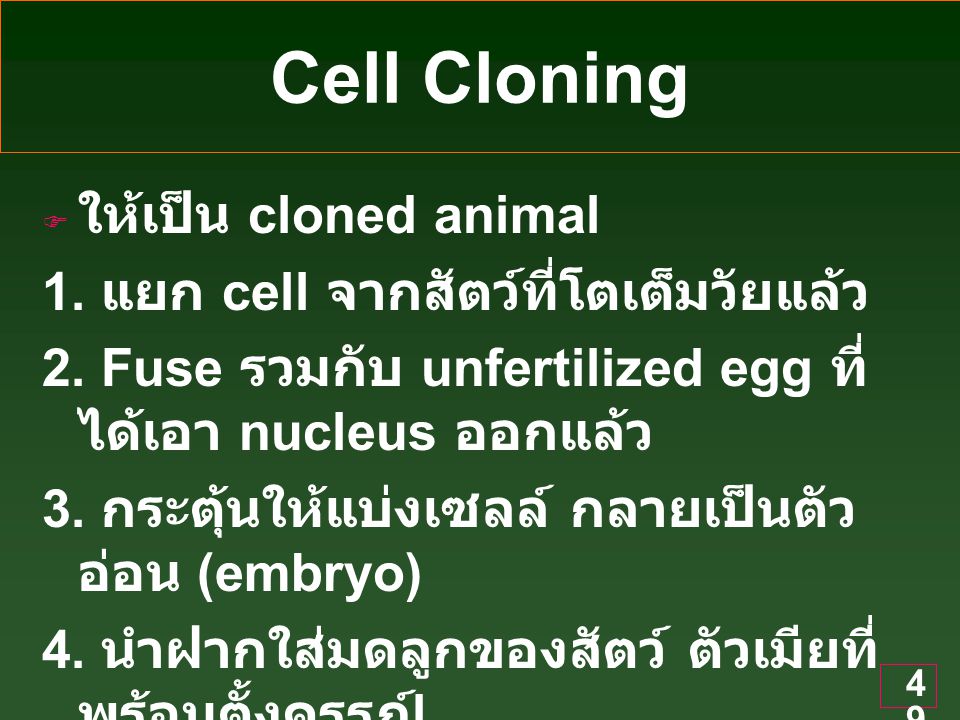 Cell Cloning ให้เป็น cloned animal