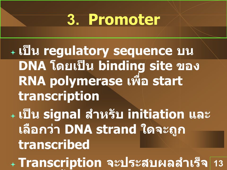 3. Promoter เป็น regulatory sequence บน DNA โดยเป็น binding site ของ RNA polymerase เพื่อ start transcription.