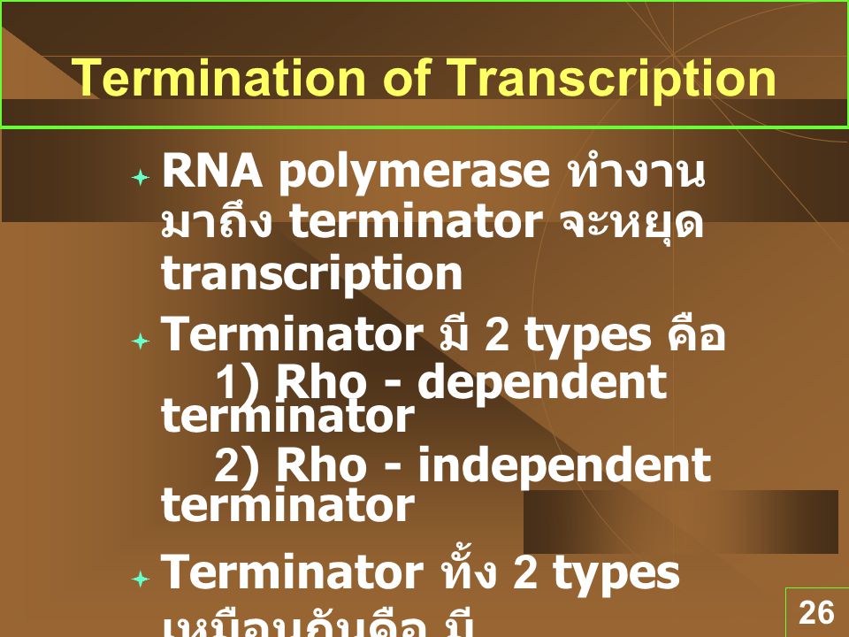Termination of Transcription