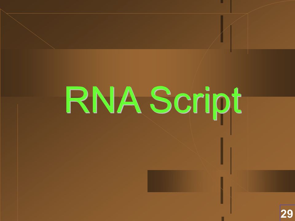RNA Script