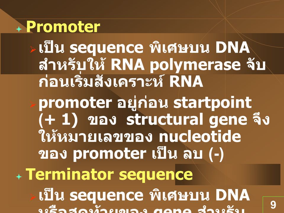 Promoter เป็น sequence พิเศษบน DNA สำหรับให้ RNA polymerase จับก่อนเริ่มสังเคราะห์ RNA.