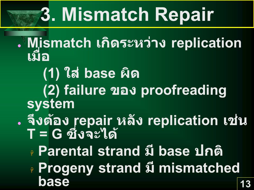 3. Mismatch Repair Mismatch เกิดระหว่าง replication เมื่อ