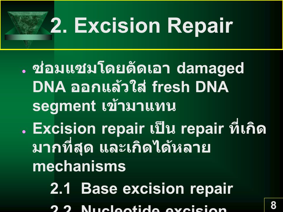 2. Excision Repair ซ่อมแซมโดยตัดเอา damaged DNA ออกแล้วใส่ fresh DNA segment เข้ามาแทน.
