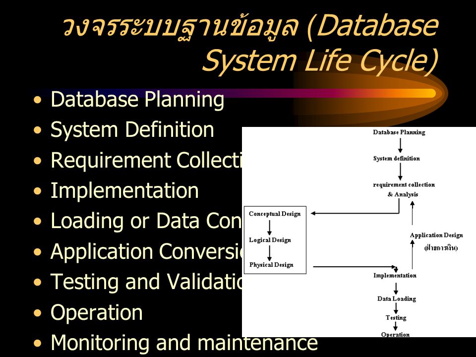 วงจรระบบฐานข้อมูล (Database System Life Cycle)