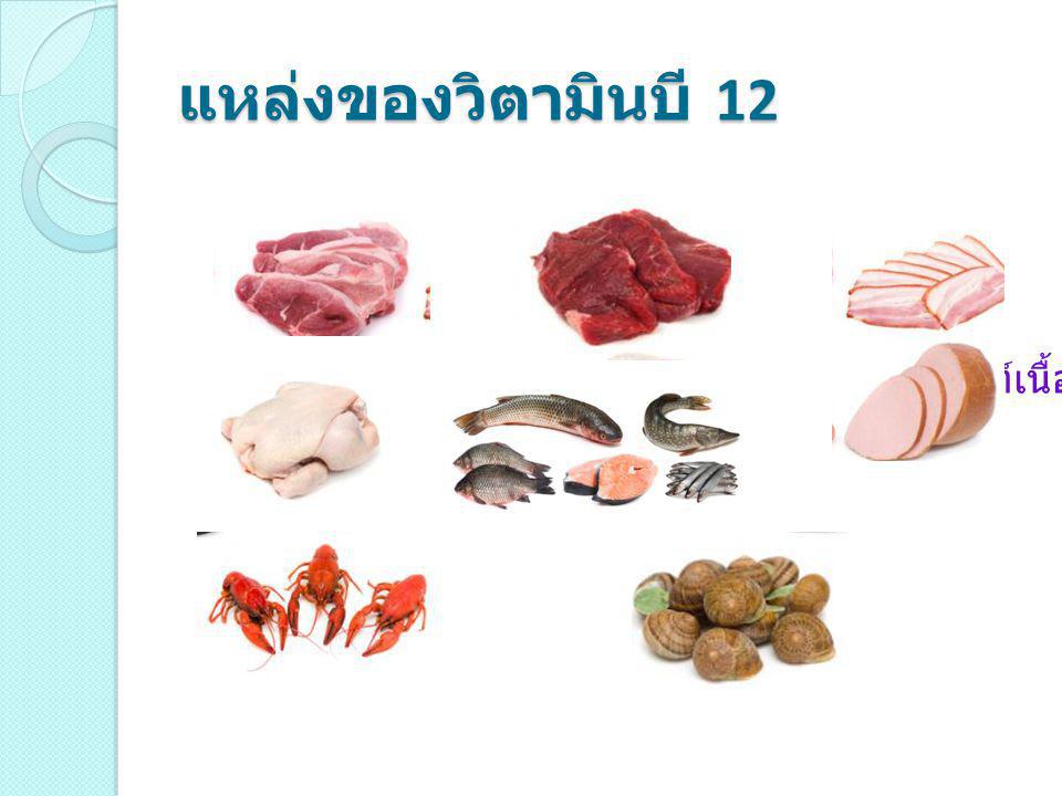 แหล่งของวิตามินบี 12 หมู เนื้อวัว ผลิตภัณฑ์เนื้อ เนื้อไก่ ปลา หอย กุ้ง